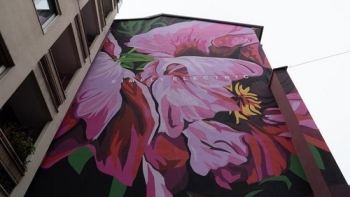 LifeGate Wall - Milano: la natura fiorisce sui muri